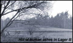 hill of human ashes in lager 3 Sobibor