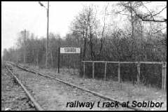 arriving at sobibor - here came the trains